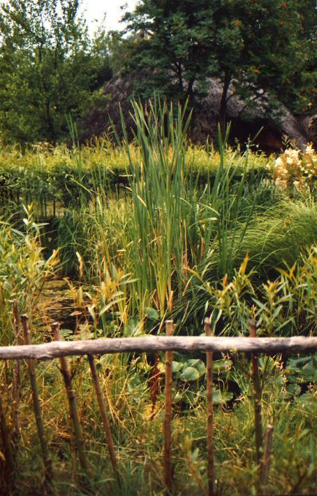 Teich in Düppel