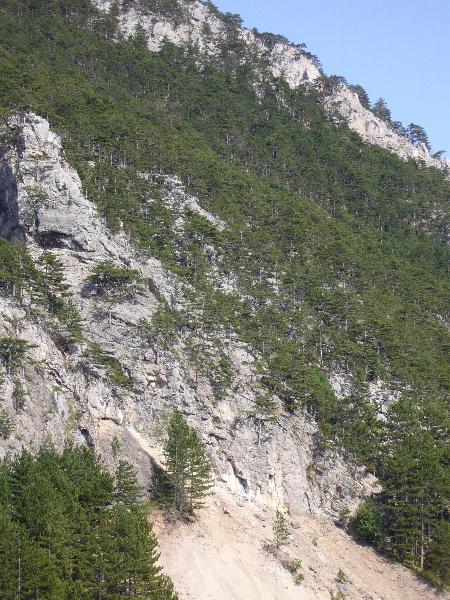 Berg in Puchberg