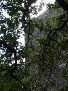 Blick auf die Burgmauer von der Rückseite